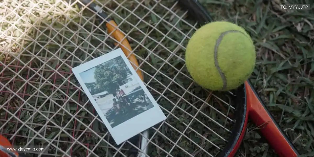 📱高清直播，随时随地掌控赛事！